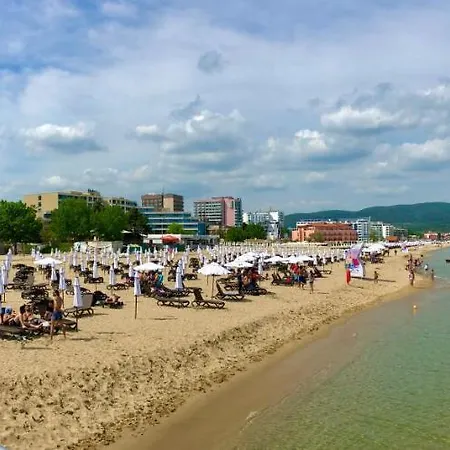 Premium Midia Apartment